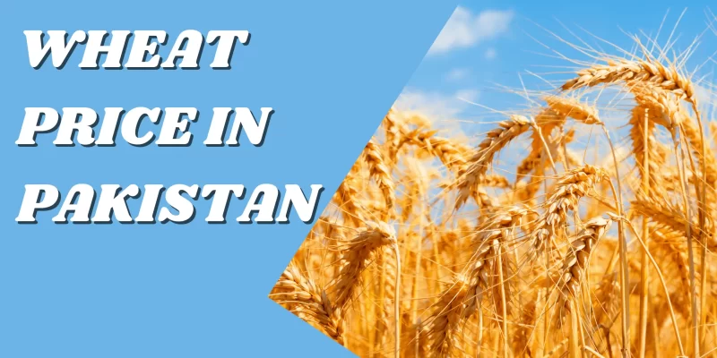 Wheat Price In Pakistan